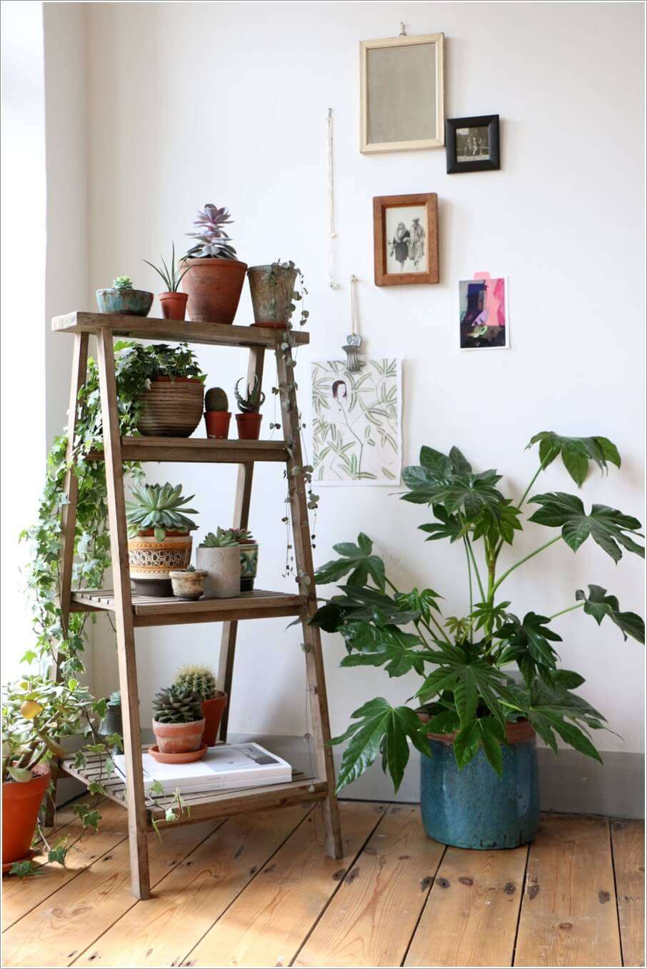 15-ideas-to-display-indoor-plants (6)