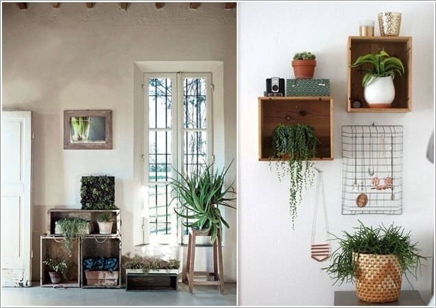 15-ideas-to-display-indoor-plants (7)