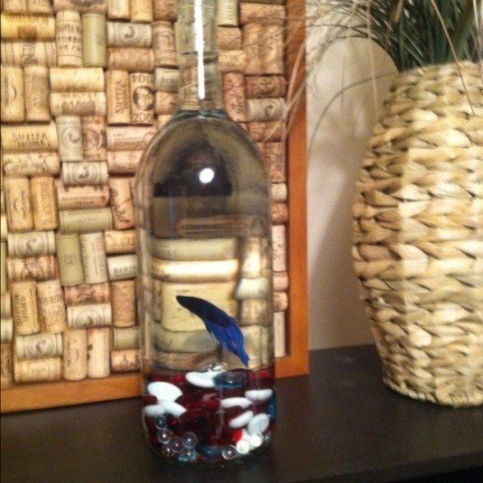 13 ideas to decorate house with old glass bottle (4)