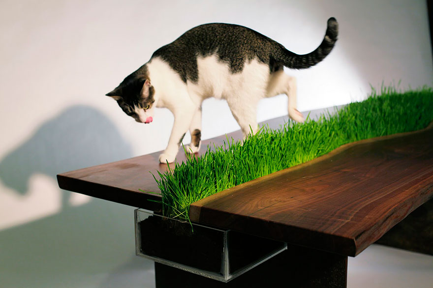 24-furniture-designs-for-cat-lovers (20)