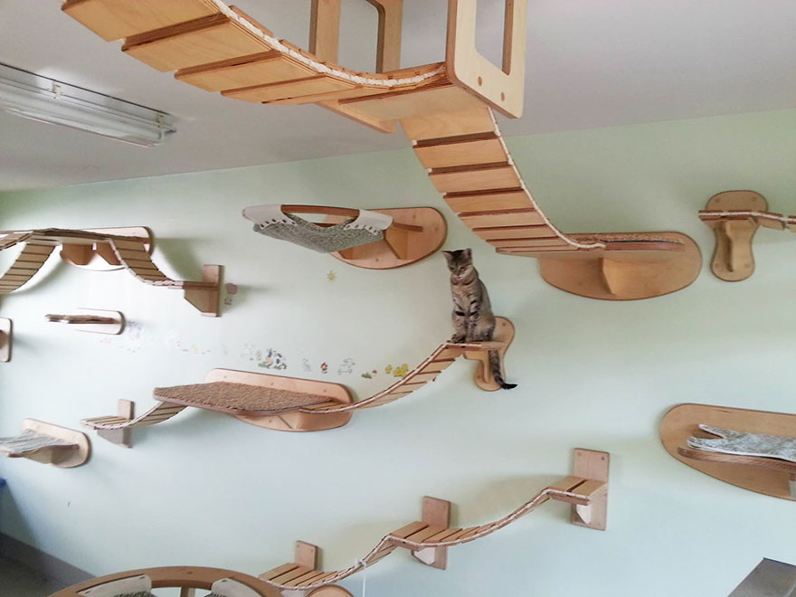 24-furniture-designs-for-cat-lovers (29)