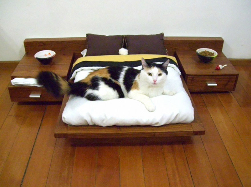 24-furniture-designs-for-cat-lovers (3)