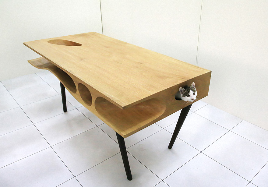 24-furniture-designs-for-cat-lovers (7)