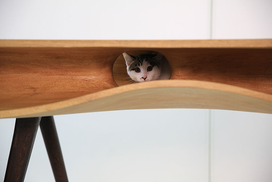 24-furniture-designs-for-cat-lovers (8)