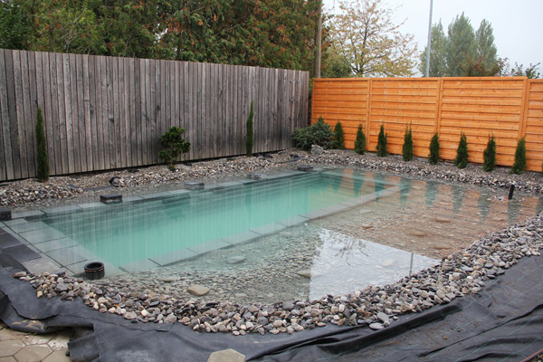 swimming pond in backyard review (16)
