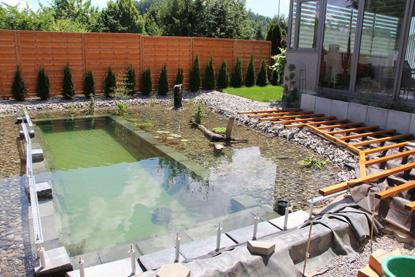 swimming pond in backyard review (17)