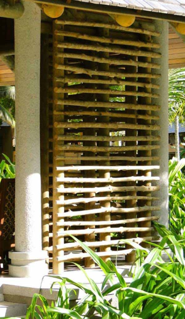 21 privacy screen in backyard garden ideas (17)