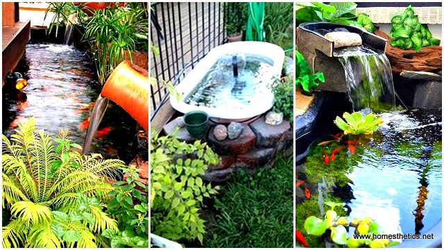22-small-garden-backyard-aquarium-ideas (1)