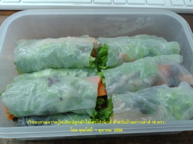 hydroponic veggie bed review (10)