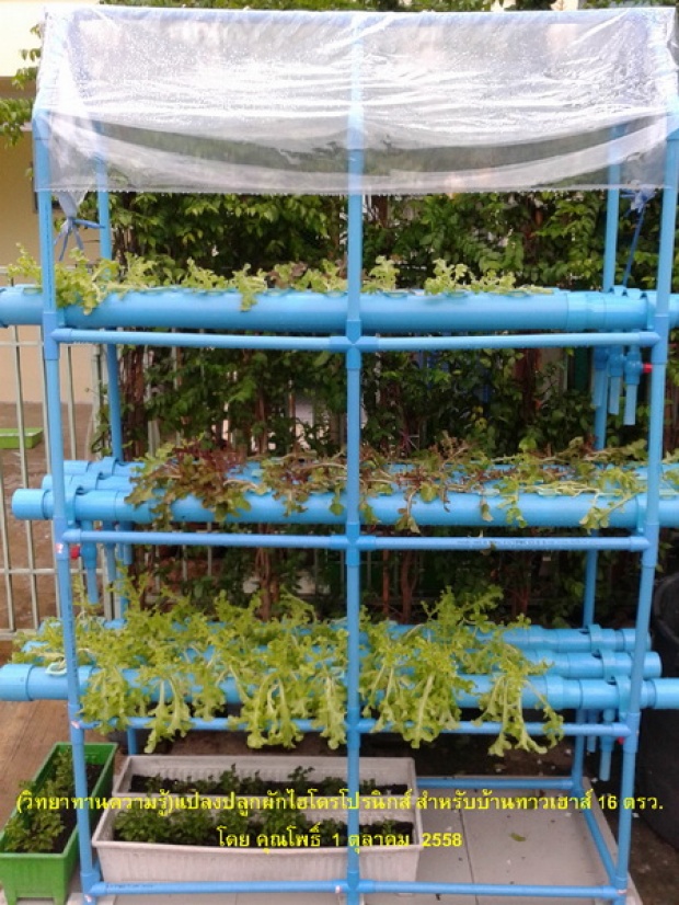 hydroponic veggie bed review (2)