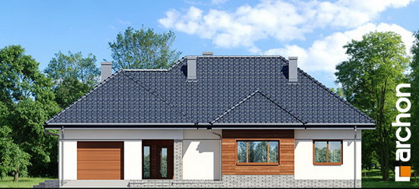 1 storey hip roof comfortable contemporary house (3)