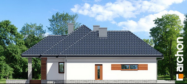 1 storey hip roof comfortable contemporary house (4)