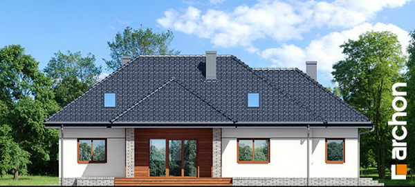 1 storey hip roof comfortable contemporary house (6)