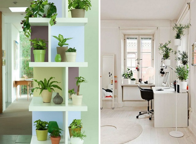 8 Ideas for interior plants cover