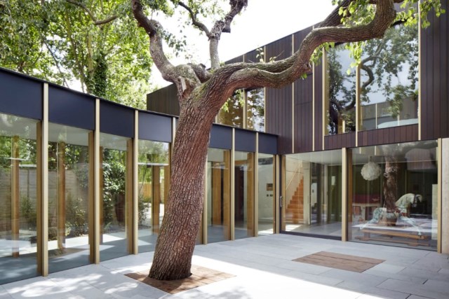 Pear-Tree-House-in-South-London-by-Edgley-Design-4