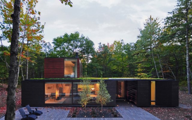 Sylvan-Retreat-textured-wood-structure-with-a-green-roof-1