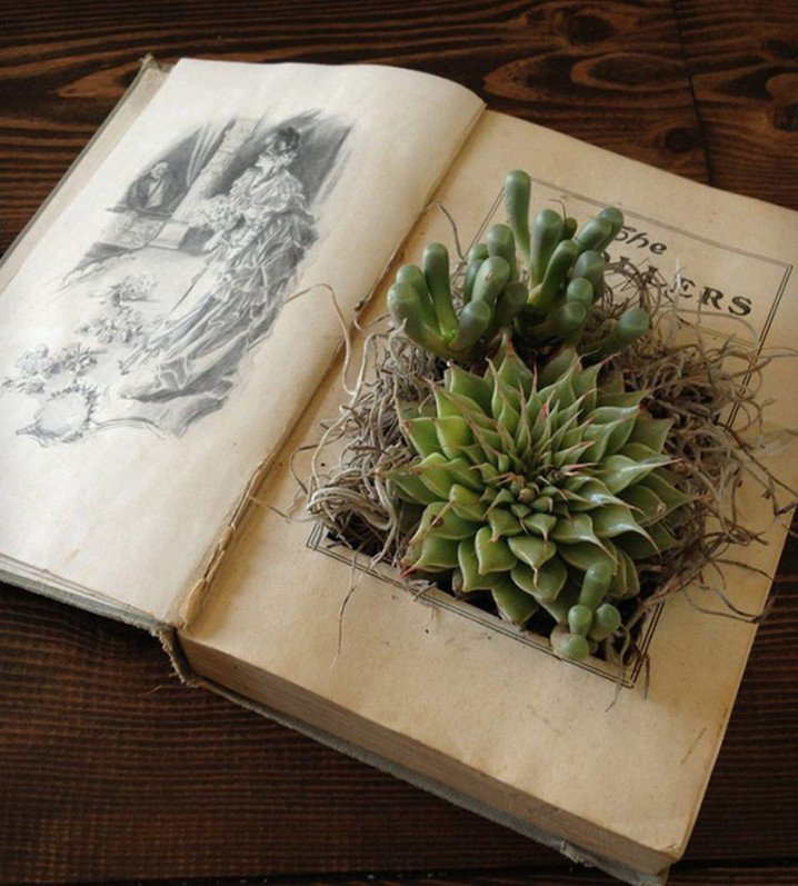 13 ideas to reuse old books for house decoration (5)