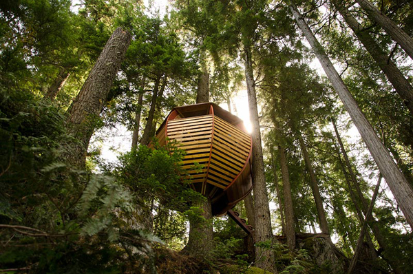 20 treehouse-with-childhood-dreams (7)