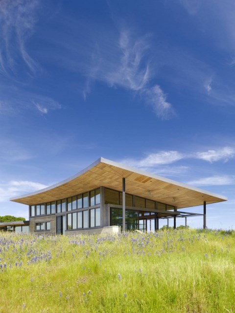 Caterpillar-House-by-Feldman-Architecture-www.homeworlddesign.-com-7-768x1024