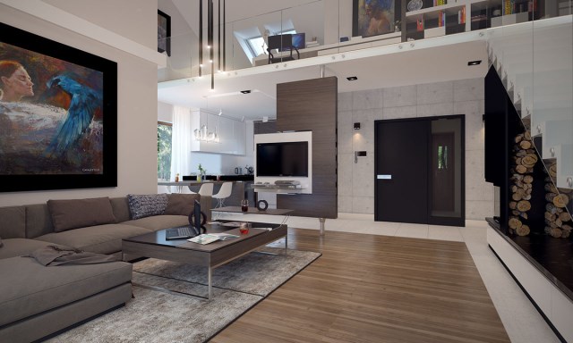 Compact Home Contemporary decor (9)