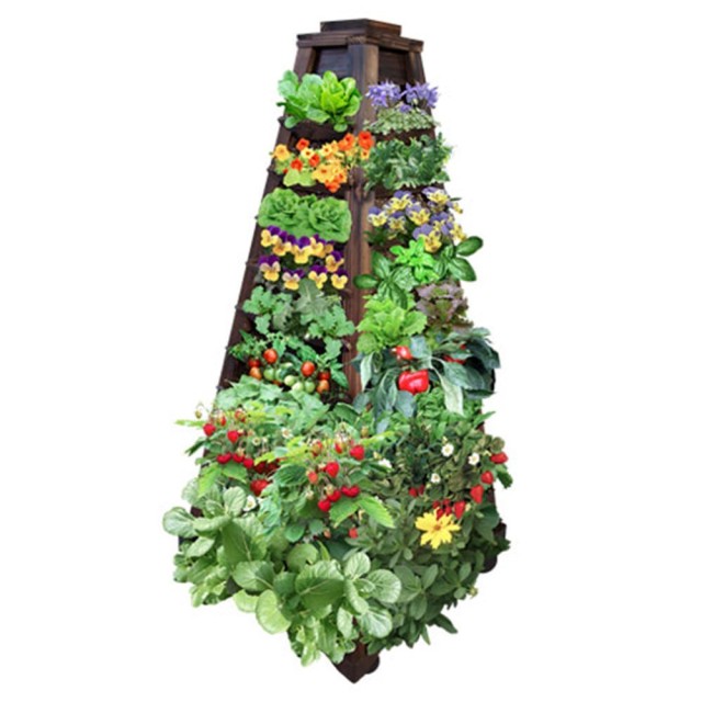15 ideas for vertical garden (15)