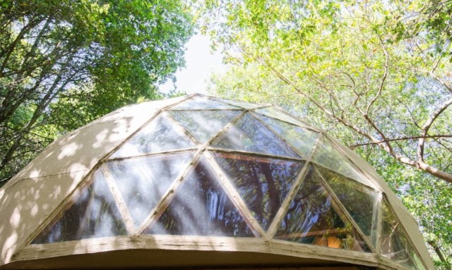 tiny-mushroom-dome-cabin (3)