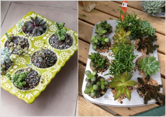 15 idea miniature garden (15)