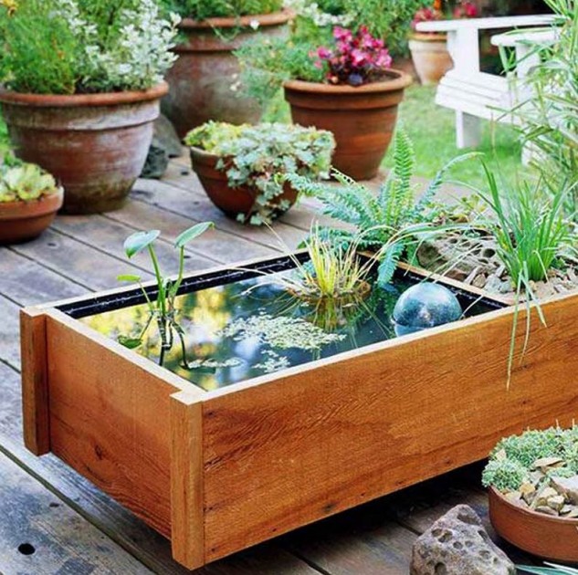16 Mini Water Garden Inspirations (16)