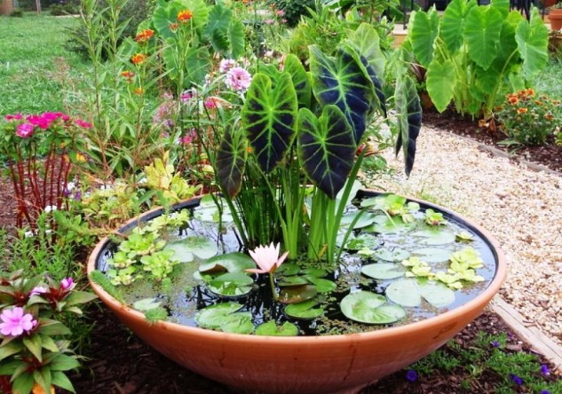 16 Mini Water Garden Inspirations (2)