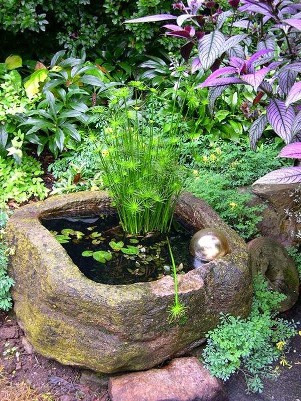 16 Mini Water Garden Inspirations (3)