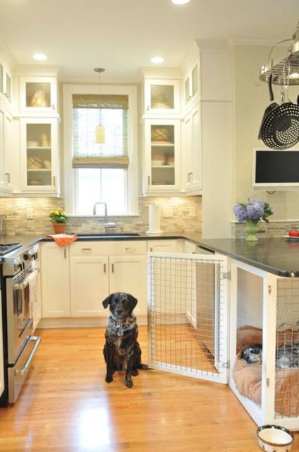 20-cool-laundry-room-for-pet-lovers (1)