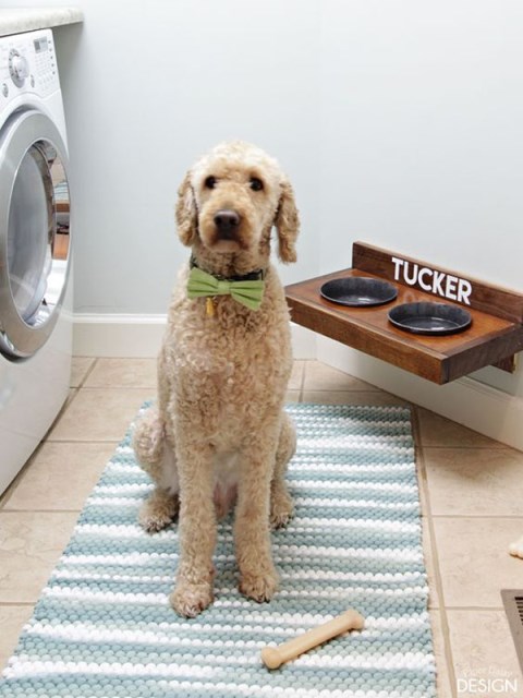 20-cool-laundry-room-for-pet-lovers (18)