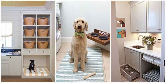 20-cool-laundry-room-for-pet-lovers (20)