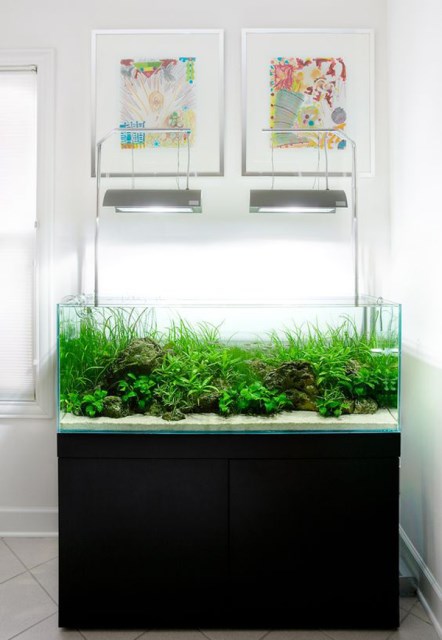 20-modern-aquariums-for-cool-interior (1)