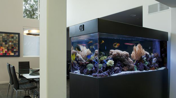 20-modern-aquariums-for-cool-interior (11)