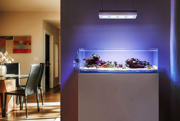 20-modern-aquariums-for-cool-interior (13)