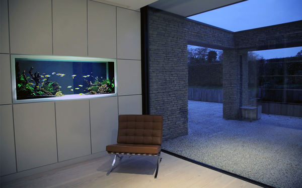20-modern-aquariums-for-cool-interior (14)