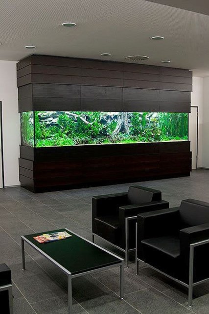 20-modern-aquariums-for-cool-interior (16)