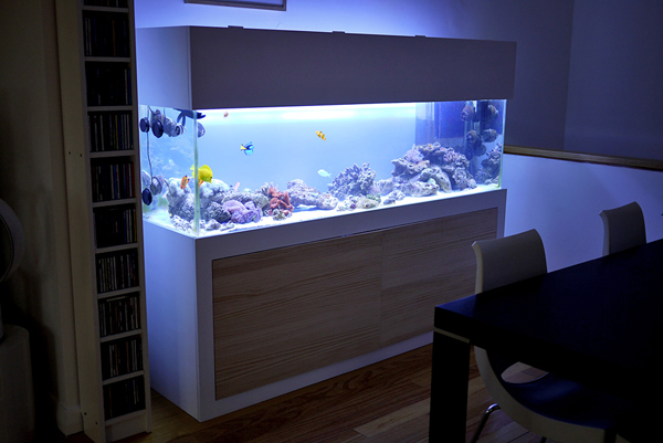 20-modern-aquariums-for-cool-interior (17)