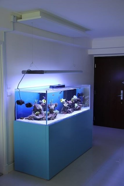 20-modern-aquariums-for-cool-interior (18)