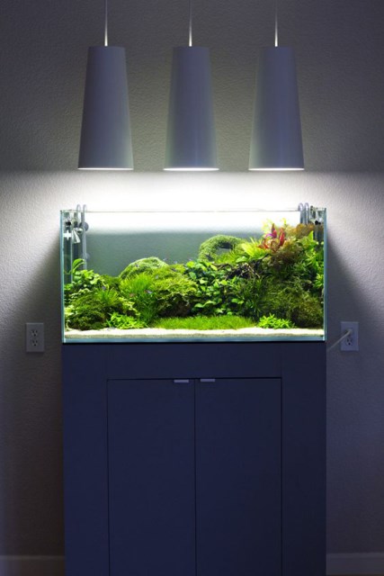 20-modern-aquariums-for-cool-interior (19)