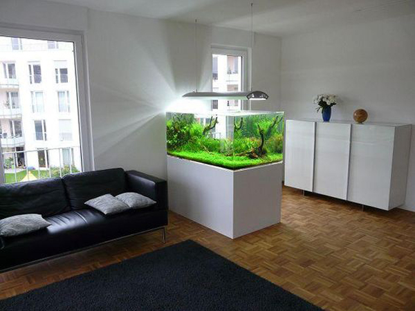 20-modern-aquariums-for-cool-interior (21)