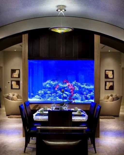 20-modern-aquariums-for-cool-interior (3)