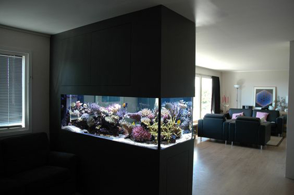 20-modern-aquariums-for-cool-interior (6)
