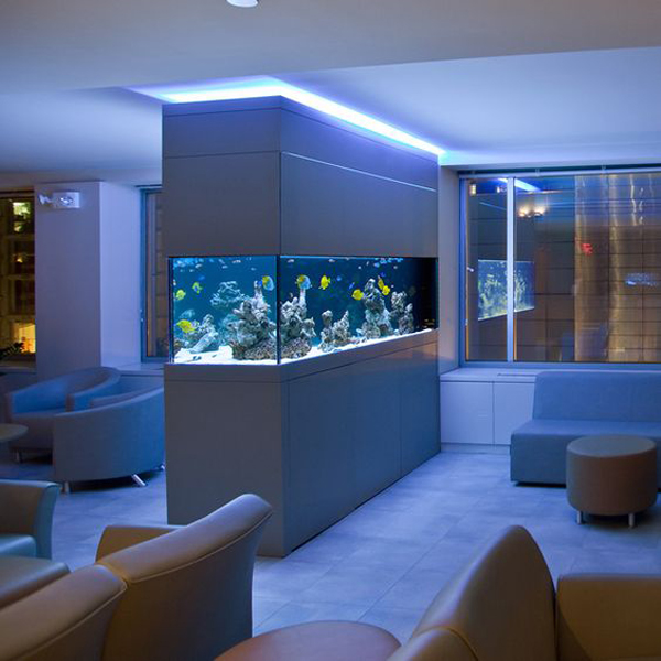 20-modern-aquariums-for-cool-interior (7)