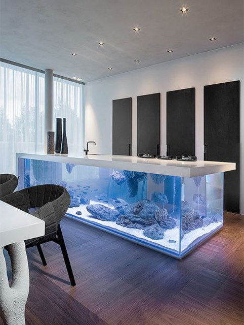 20-modern-aquariums-for-cool-interior (9)