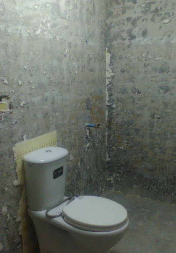 30 yrs old restroom renovation review (6)