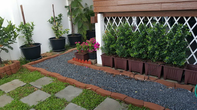 small sideyard garden review (3)