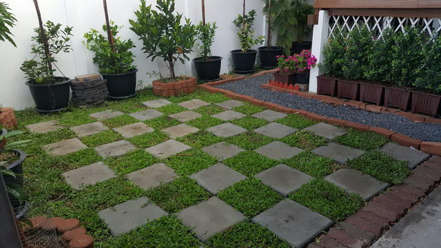 small sideyard garden review (5)