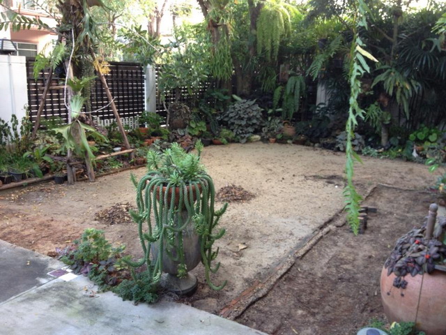 frontyard garden renovation (1)
